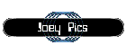 Joey Pics