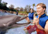 Lance swims with "C.J." the dolphin at Discovery Cove. (Sept. 24, 2001)
